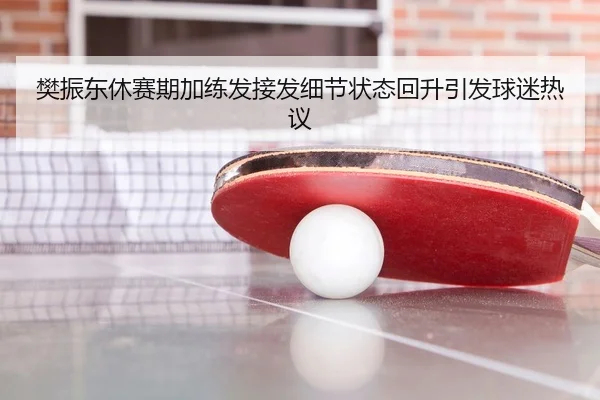 樊振东休赛期加练发接发细节状态回升引发球迷热议